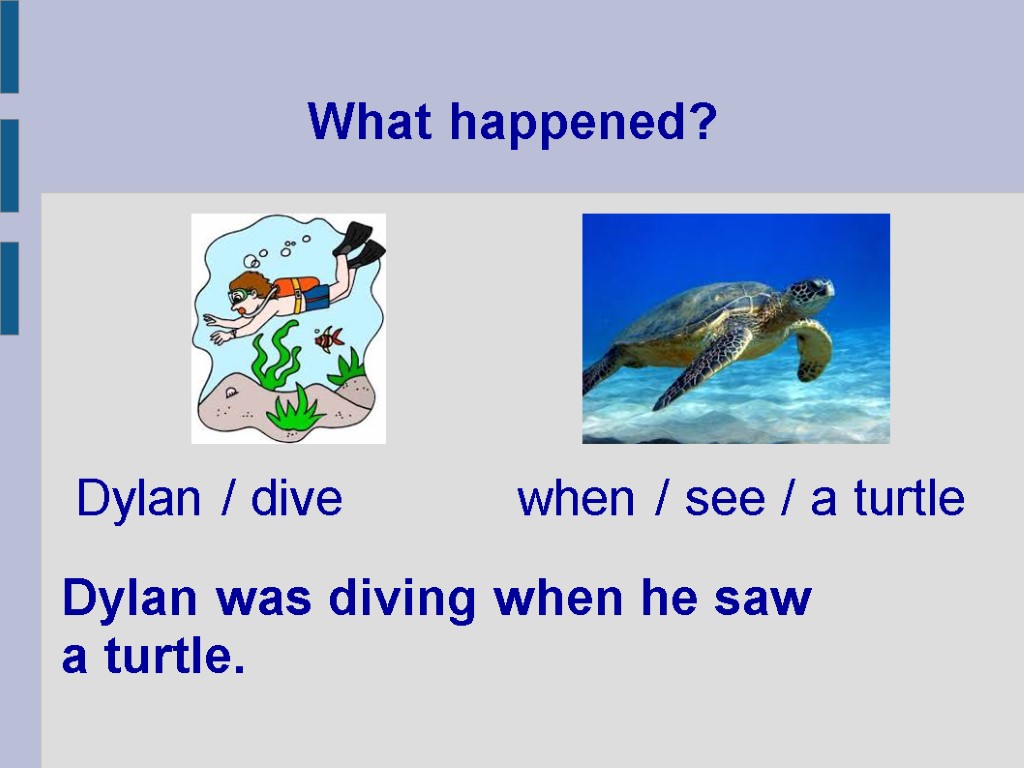 What happened? Dylan was diving when he saw a turtle. Dylan / dive when